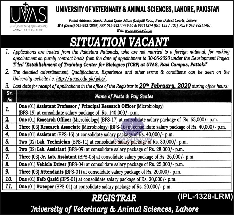 UVAS Jobs for vets and others