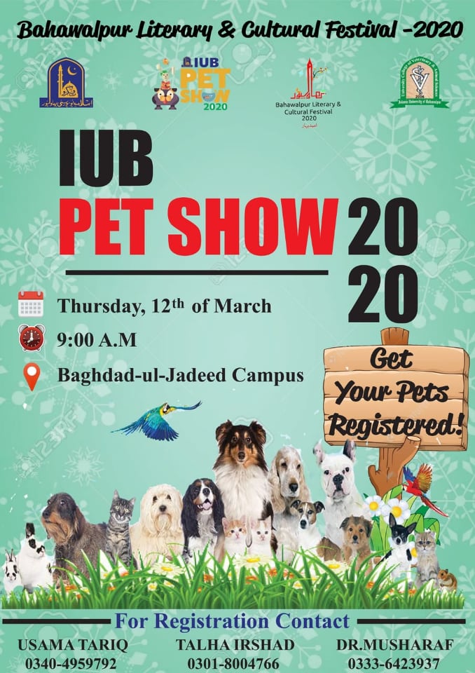 IUB Pet Show