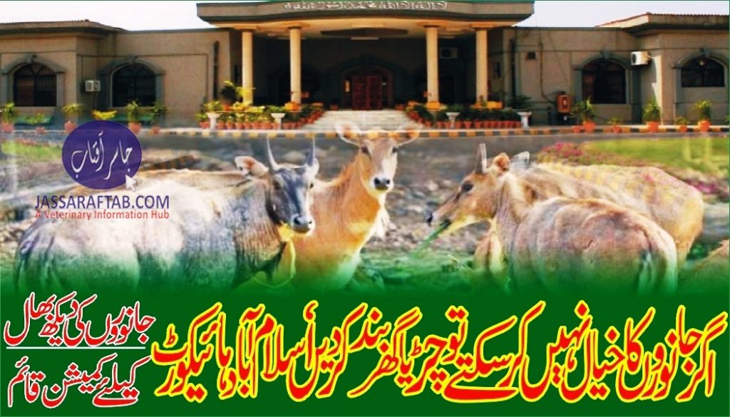 IHC forms commision for zoo animals