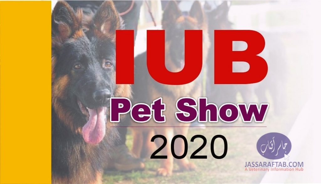 IUB pet show 2020