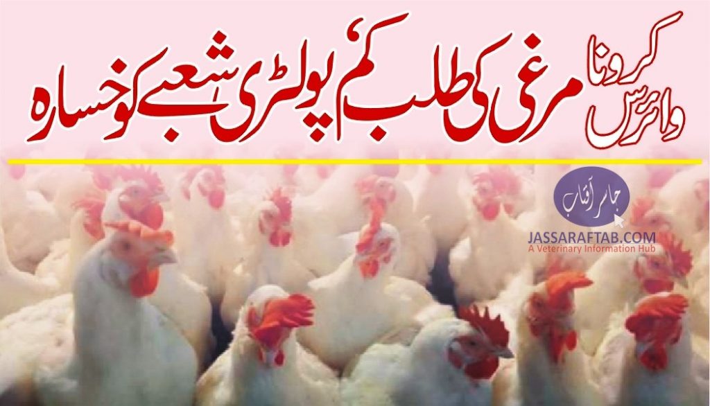 PPA demands solution to poultry industry issues