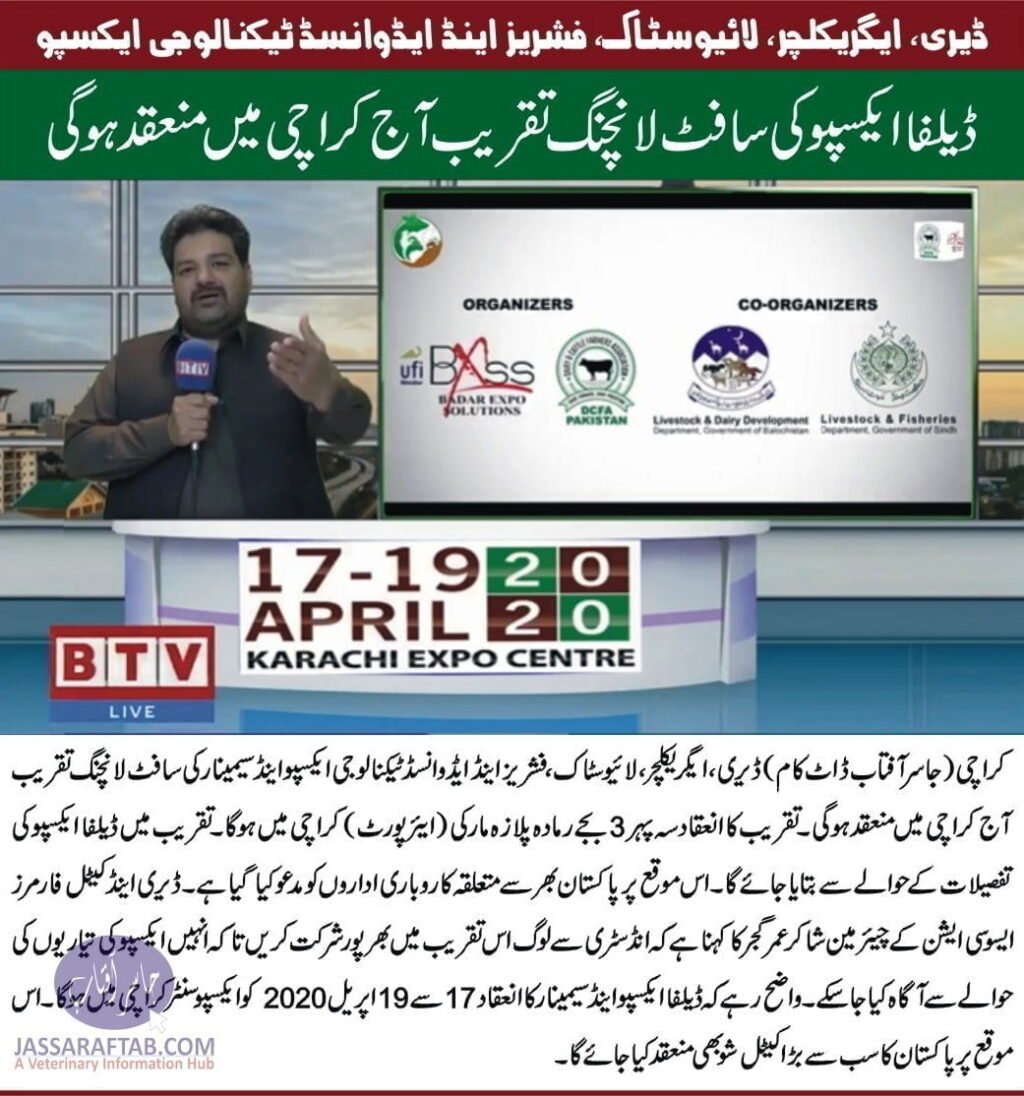 Dalfa expo soft launching