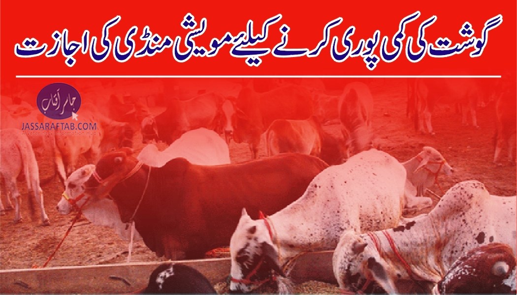گوشت کی کمی پوری کرنے کیلئے مویشی منڈی کی اجازت