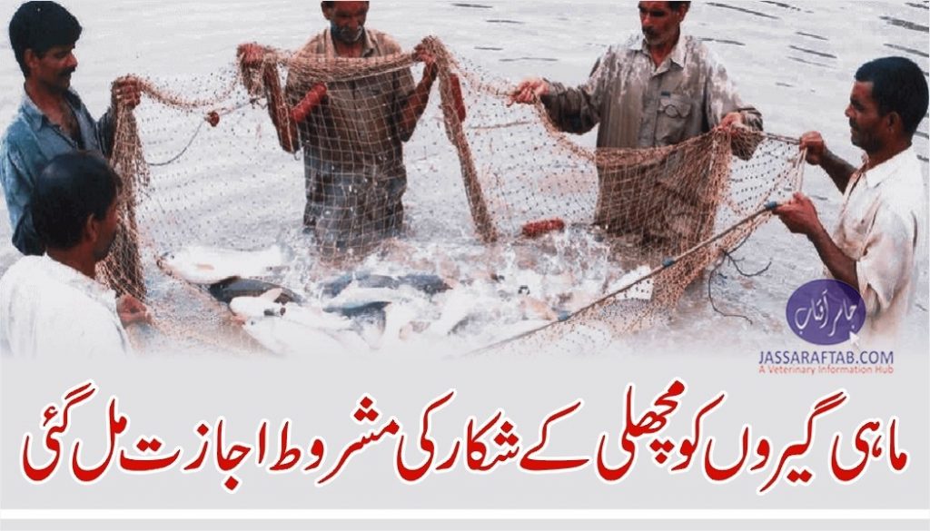Fishing allowed with conditions to fishermen