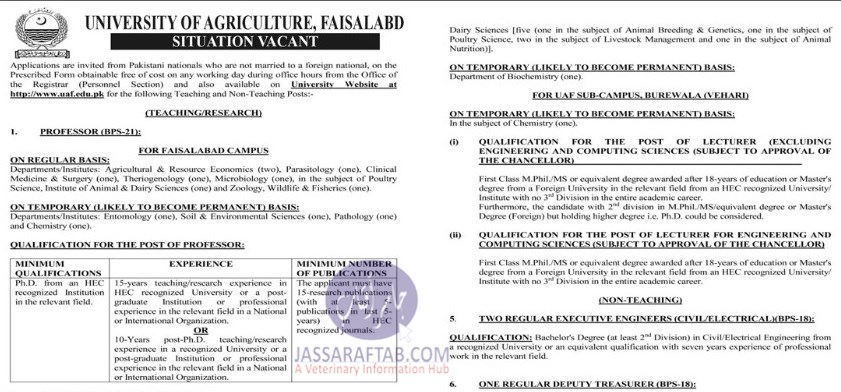 Jobs at University of Agriculture Faisalabad