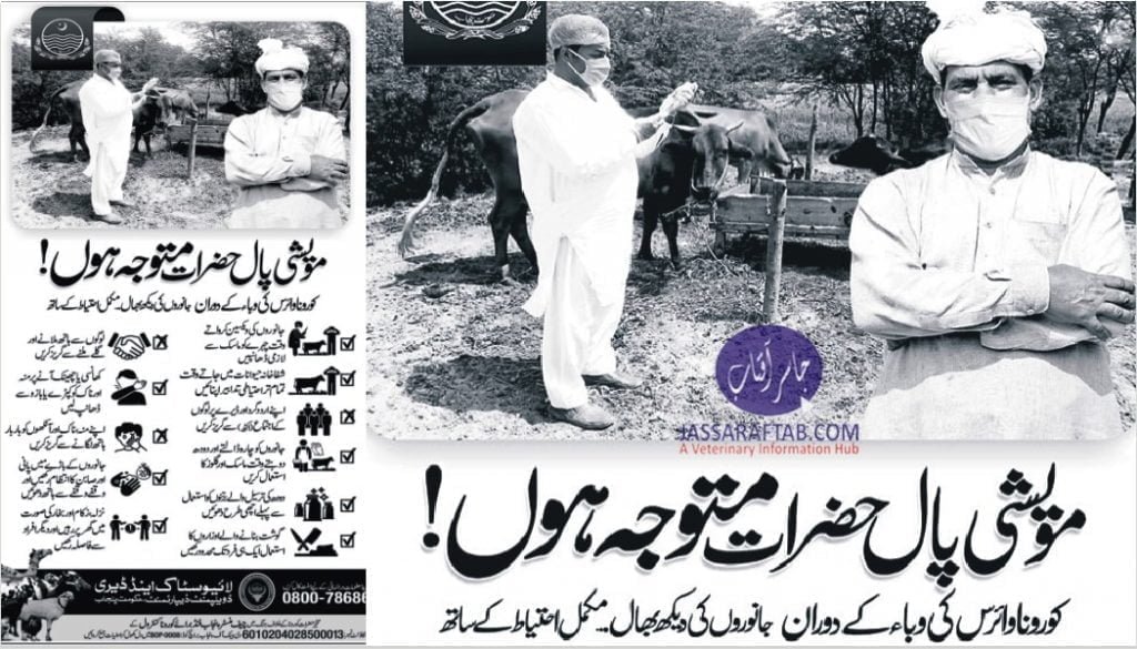 Precautions for livestock farmers during coronavirus