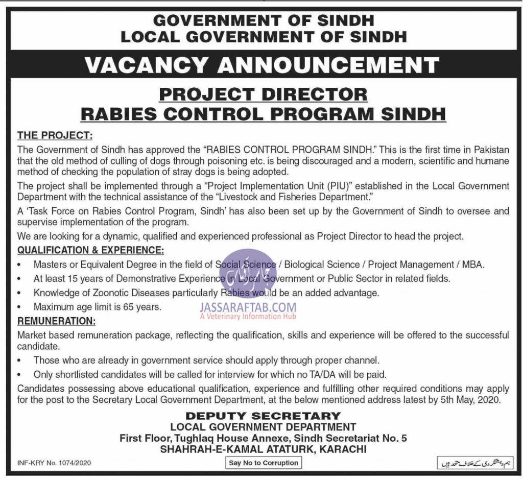 Project Director Rabies Control Program job in Sindh
