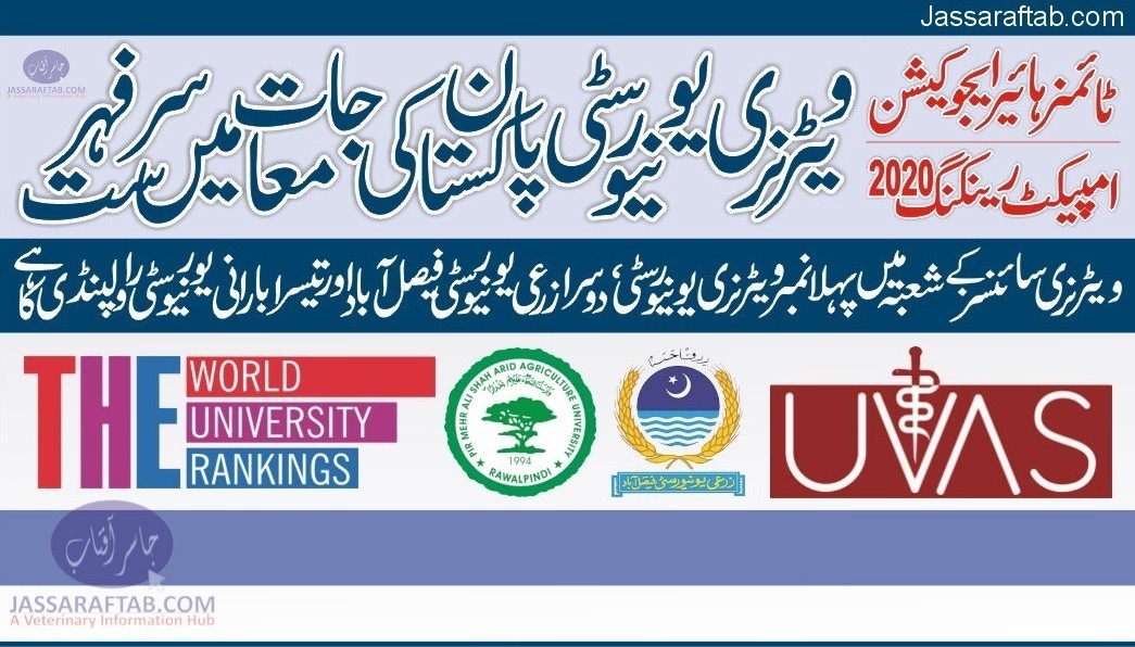 امپیکٹ رینکنگ میں ویٹرنری یونیورسٹی پاکستان کی جامعات میں سر فہرست