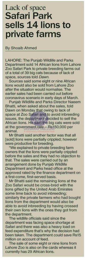 Lions sold from Safari Park