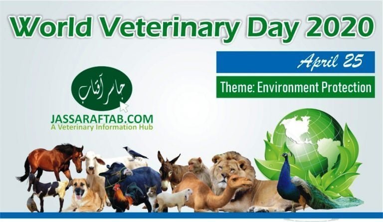 world veterinary day banner 2020