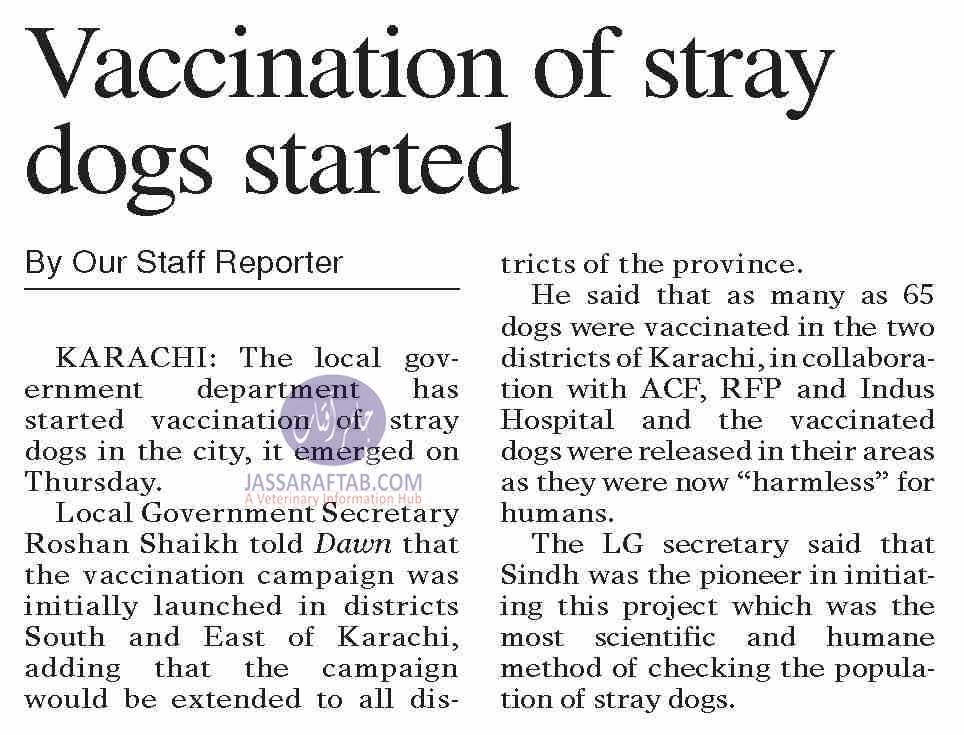  Vaccination of stray dogs started