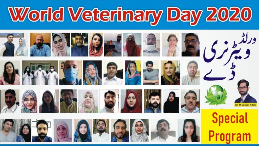 environment protection and veterinary profession