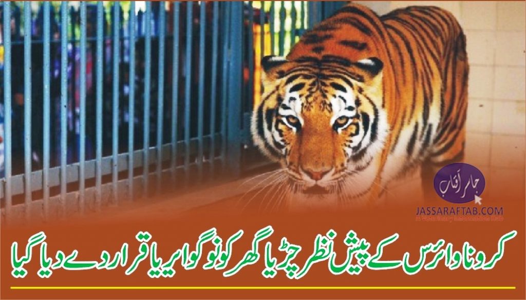 Zoonotic tendency: Coronavirus threat worries Karachi Zoo