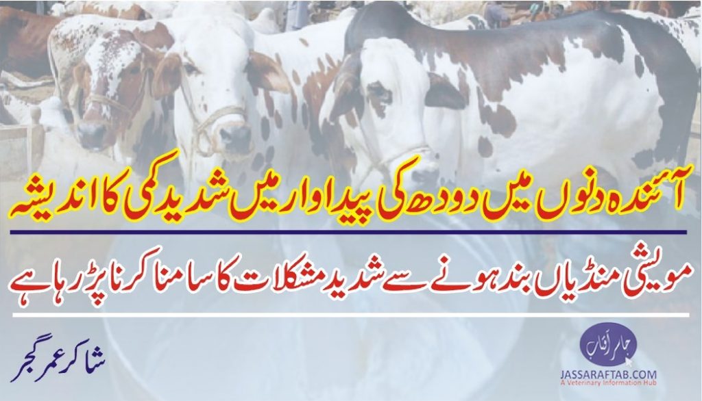 Effects of lockdown on Dairy sector | Milk Production