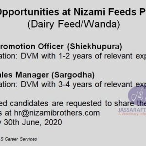 Veterinary Job at Nizami Feeds