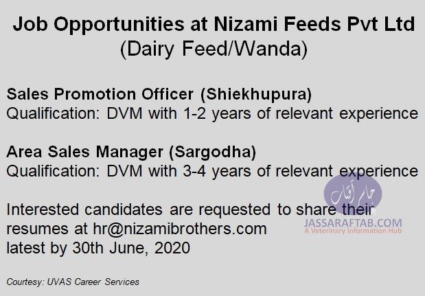 Veterinary Job at Nizami Feeds