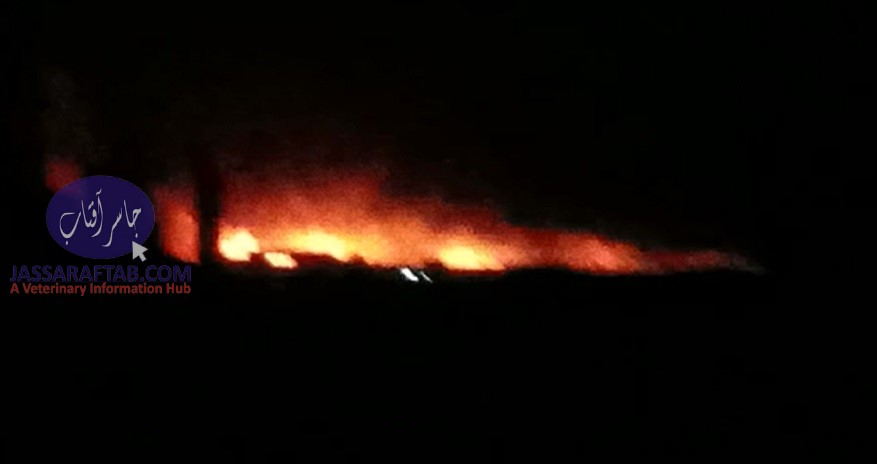Fire erupts in Sarjani Cattle Colony Karachi