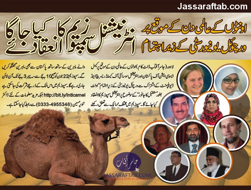 International Camel Symposium Camel as Future Animal