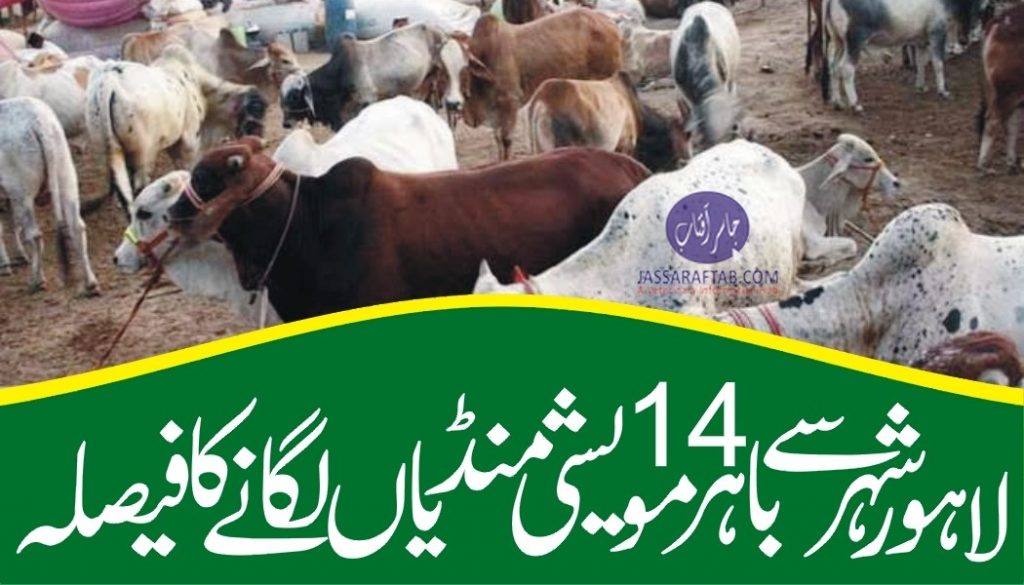 Cattle markets to be setup outside the city