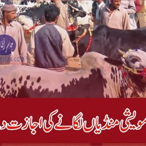 Cattle markets in Punjab