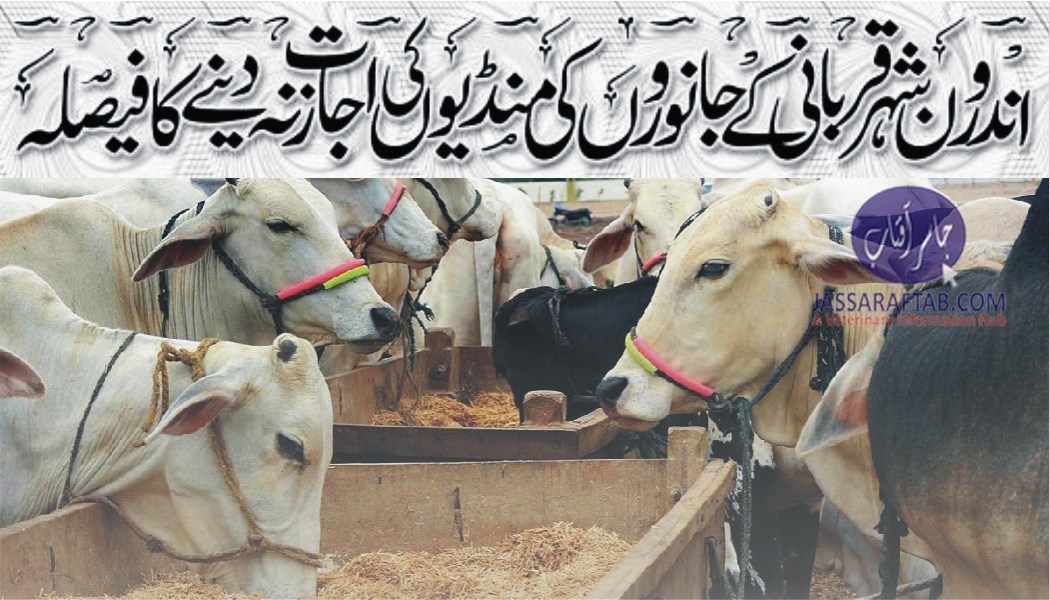 Permission for cattle markets