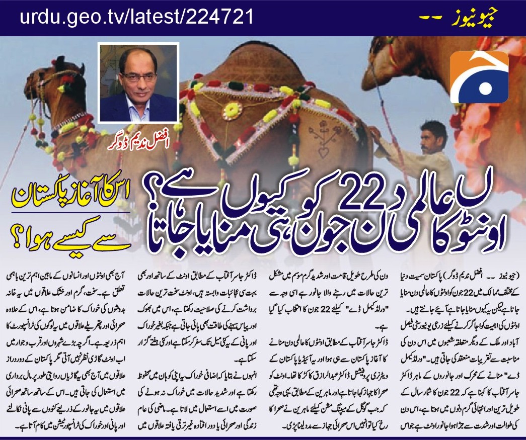 Geo News Story about World Camel Day 