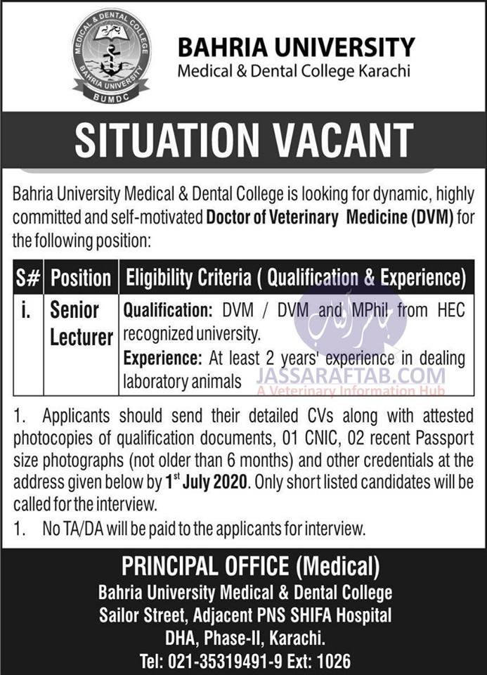 Job opportunity for veterinary graduates at Bahria University