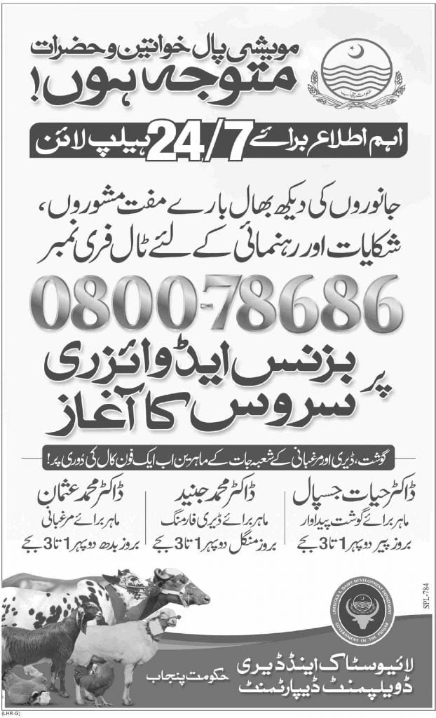 Helpline for livestock business advisory services محکمہ لائیوسٹاک کی