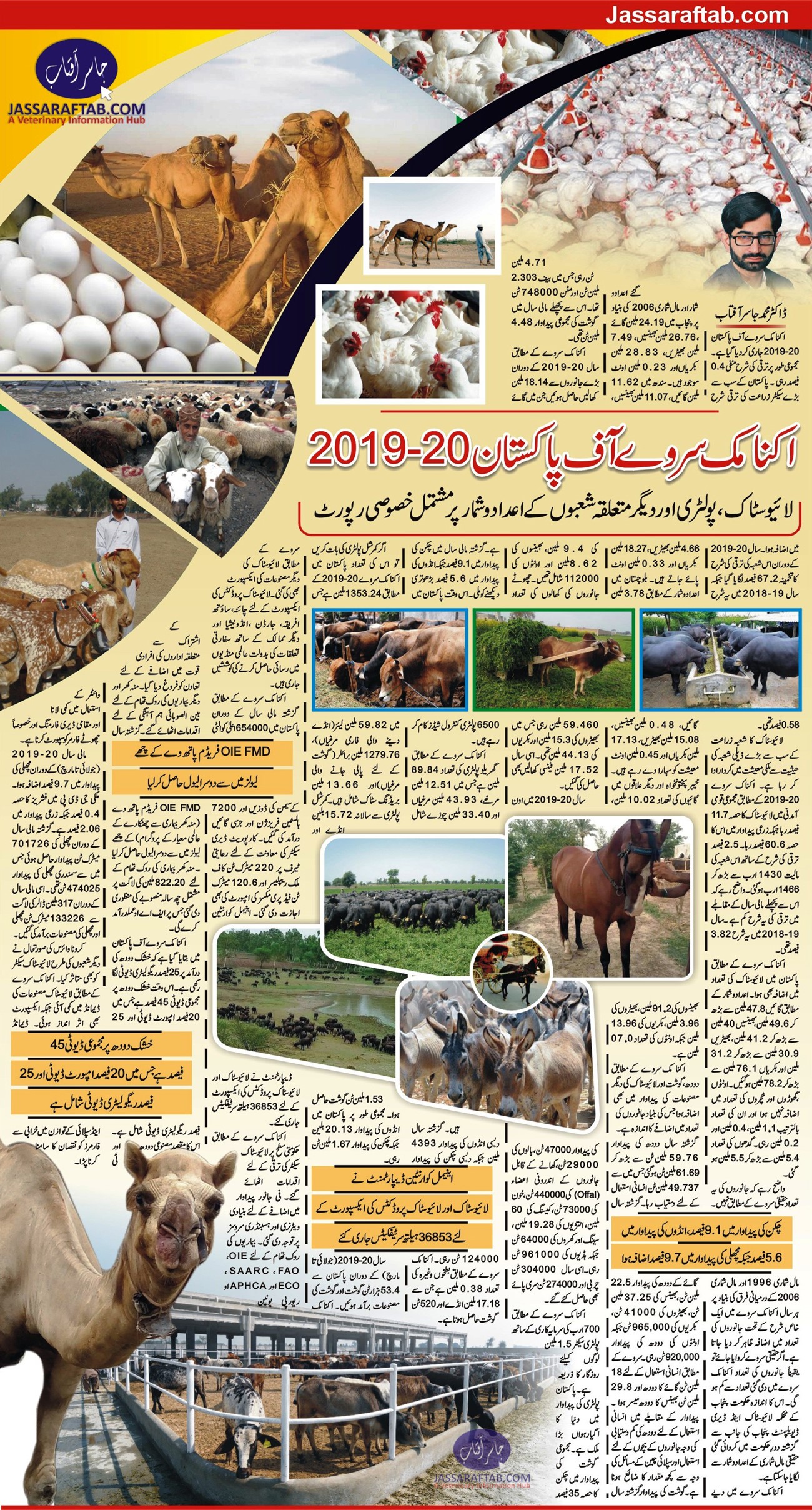 Milk production in Pakistan, meat production in Pakistan. poultry data and poultry industry statistics.