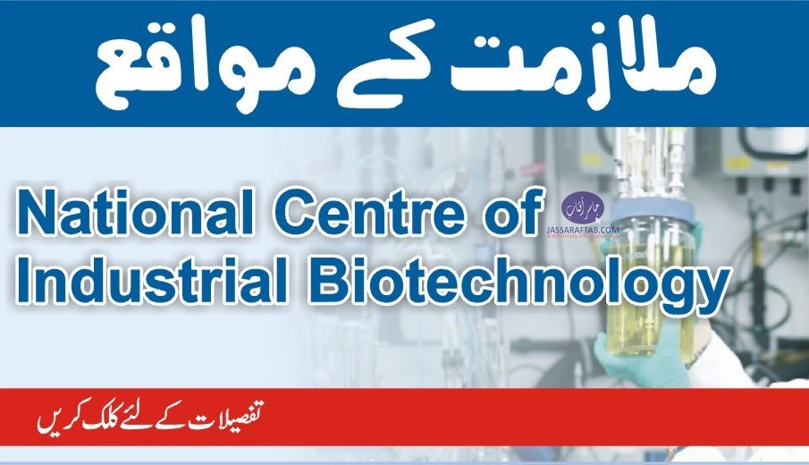 NCIB Jobs at National Center of Industrial Biotechnology (NCIB)