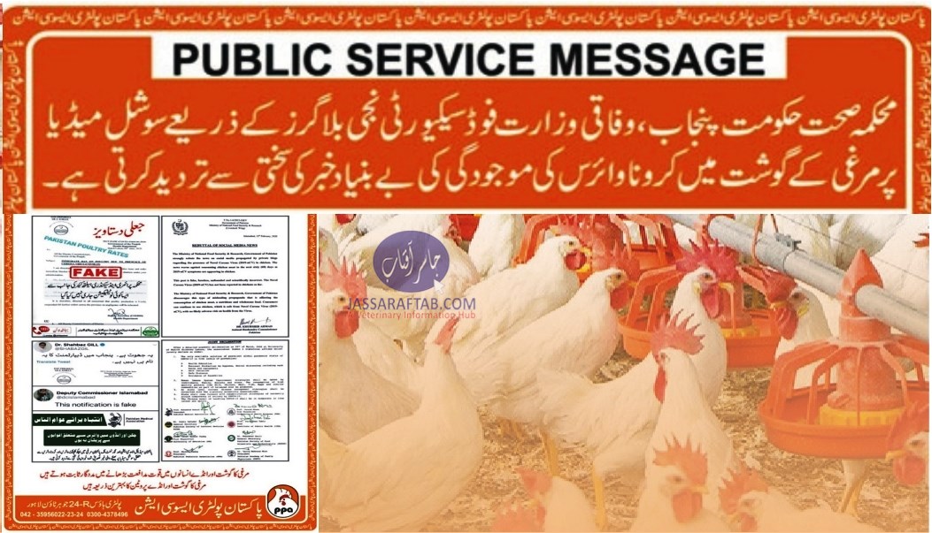 مرغی کے گوشت میں کرونا وائرس کی موجودگی کو بے بنیاد قرار دے دیا گیا