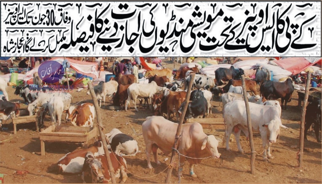 SOPs for Cattle markets in KPK