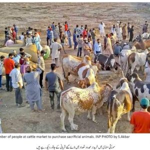 Asia’s largest cattle market opens in Karachi