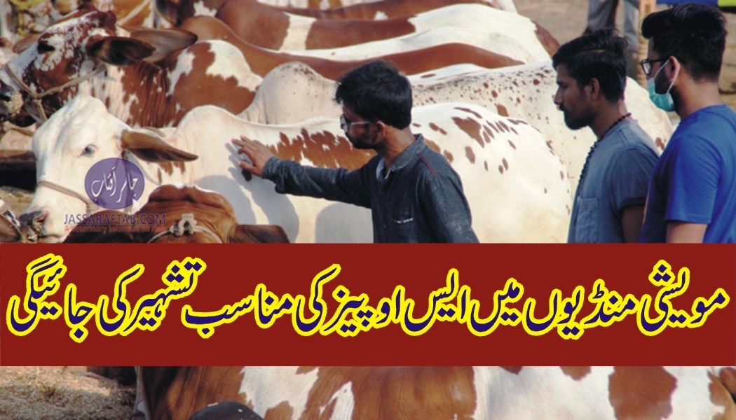 SOPs for Cattle markets in Lahore