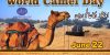 World Camel Day 2020