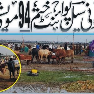 Crackdown against illegal sale points of sacrificial animals
