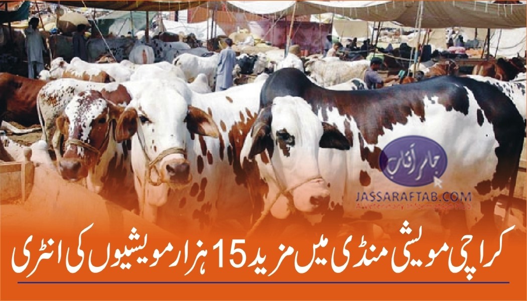 largest cattle market of Asia