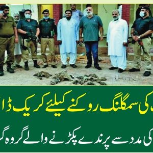 Crack down against illegal smuggling of wildlife
