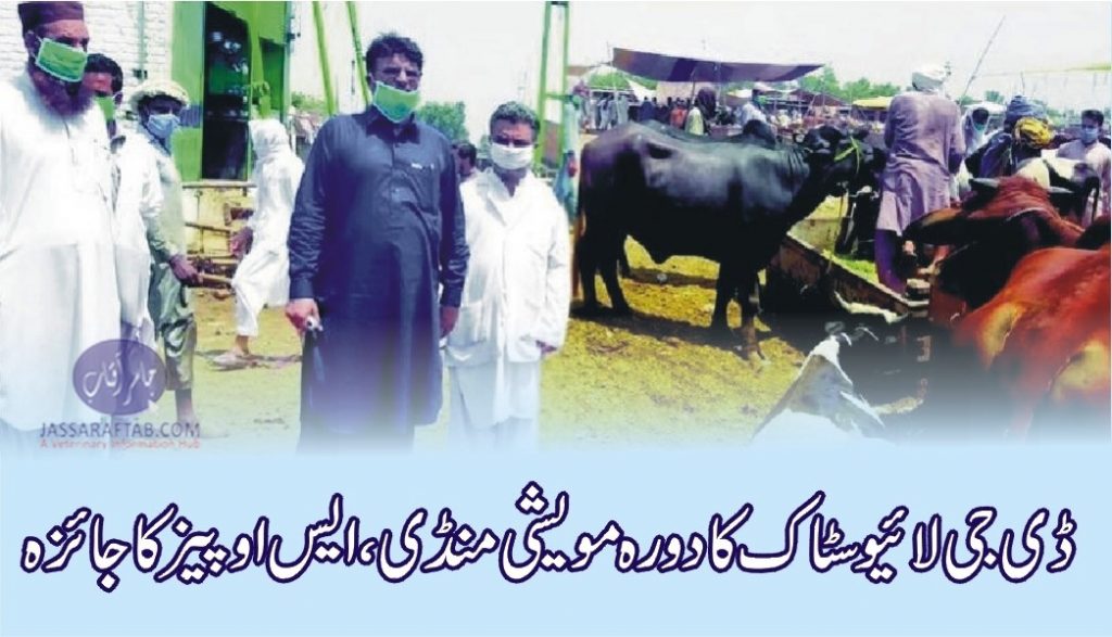 DG livestock visited cattle market