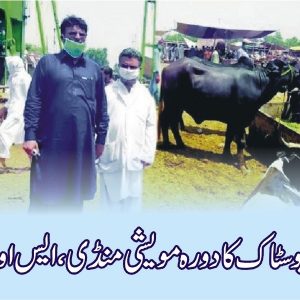 DG livestock visited cattle market