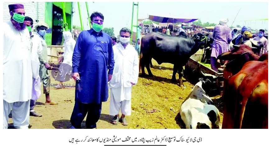 DG Livestock Dr. Alam Zeb