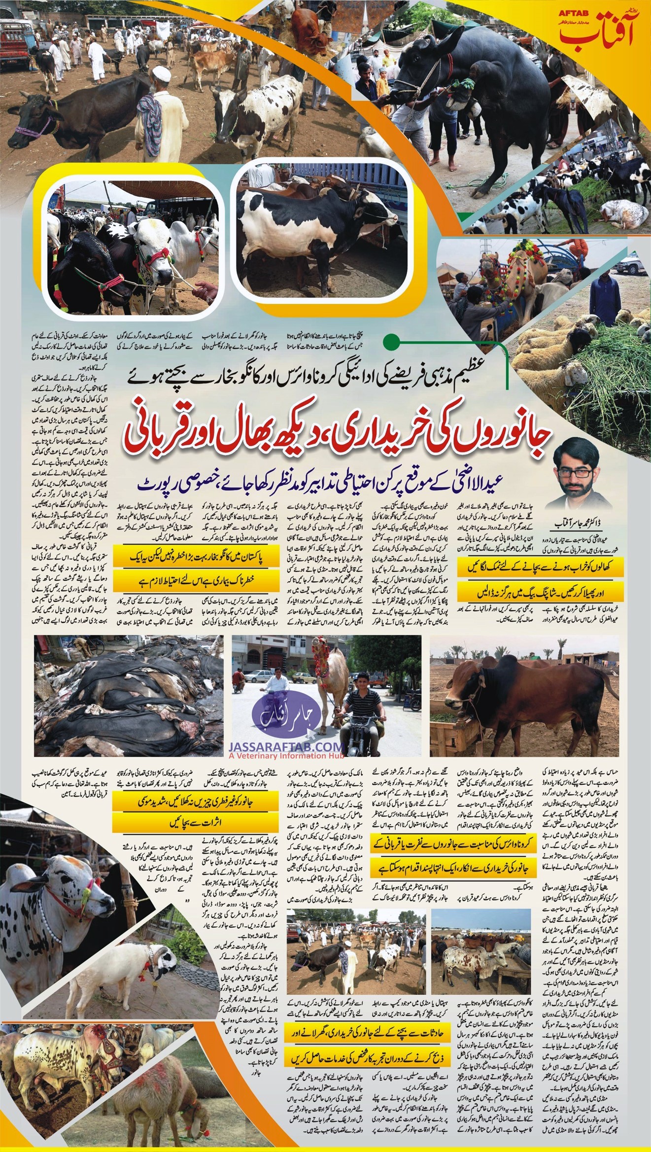 Selection of best animal for qurbani and distribution of qurbani meat or sacrificial meat.
