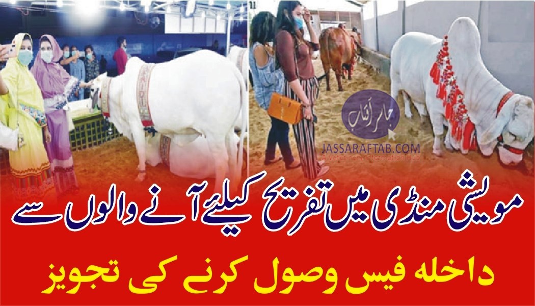 Entry fee for visitors in Cattle markets