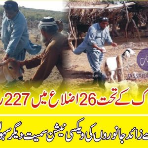 Livestock relief camps for vaccination of animals