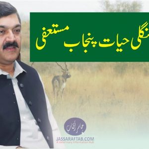 Minister wildlife Punjab resigned