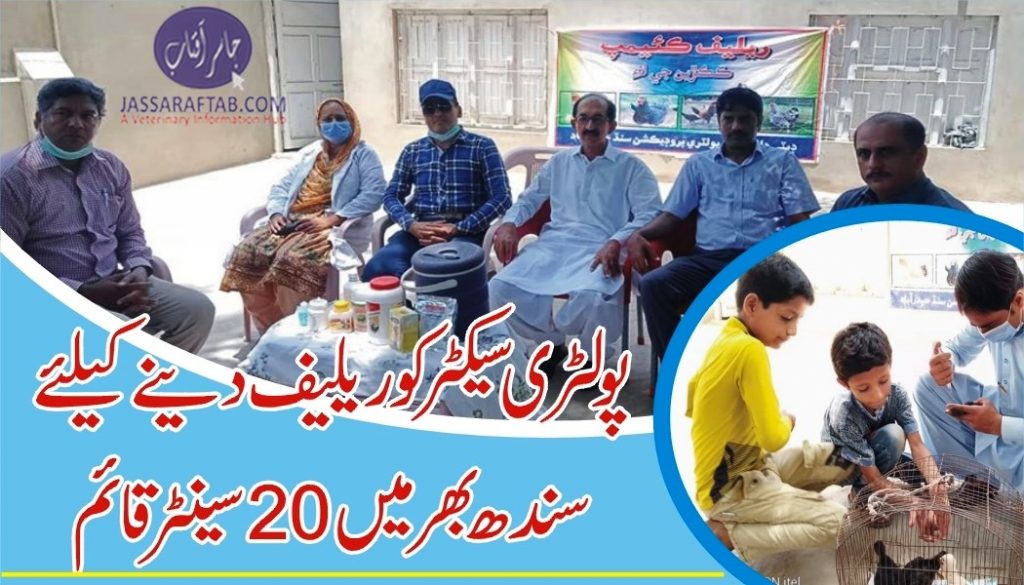 Poultry relief camps in Sindh