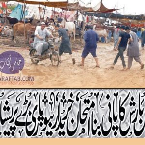 Rain disturbs vendors and purchasers at cattle markets