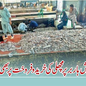Ban on sale purchase of fish at Karachi fish harbor