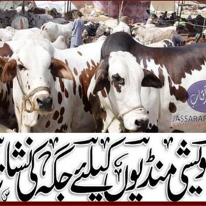 Sites for cattle markets in Sheikhupura