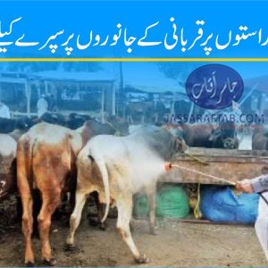 Camps for spray on sacrificial animals at all city entry points